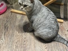 -小时光咖啡馆(开森度假森林店)