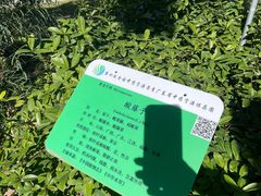 -广东中医药博物馆