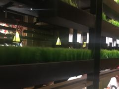 -牛焱·贵州黄牛肉火锅(城西银泰店)