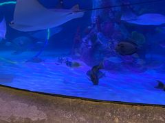 -沈阳海洋探索中心