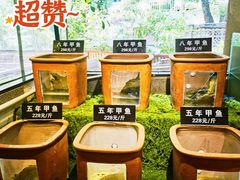 -王捌小院(红花坡店)