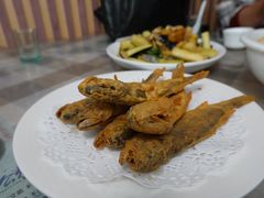-华春餐馆(鱼山路店)
