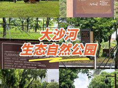 -大沙河公园