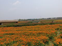 -江苏三台山国家森林公园