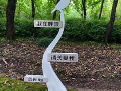 -苏州河梦清园环保主题公园