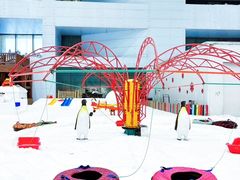 -哈尔滨热雪奇迹