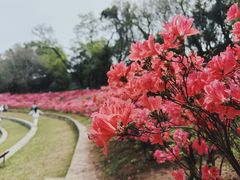 -老门东历史文化街区