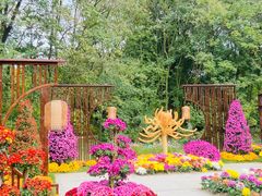 -上海共青森林公园