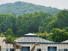 -哈尔滨北方森林动物园