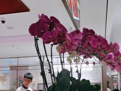 -海底捞火锅(高科广场店)