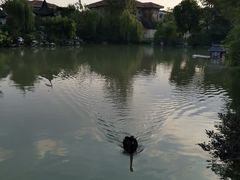 -常州武进九洲喜来登酒店