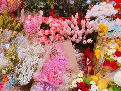 -越秀西湖花市(广州城市广场花卉店)