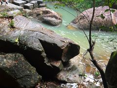 -广州白江湖森林公园