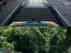 -海南槟榔谷黎苗文化旅游区