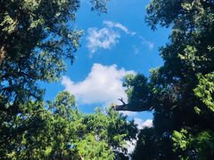 -七曲山风景区