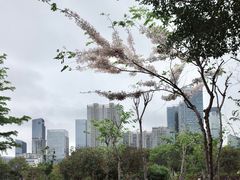 -香蜜公园