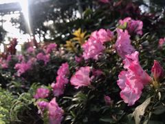 -北京植物园-展览温室