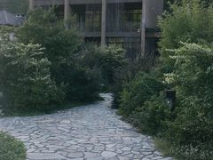 -看见远方·莫干遥远的山民宿