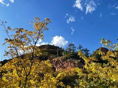 -红山国家森林公园