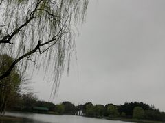 -上海共青森林公园