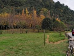 -贵阳市花溪国家城市湿地公园