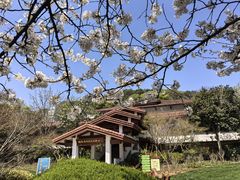 -中国茶叶博物馆(双峰馆区)