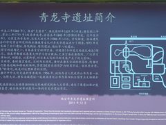 -西安乐游原