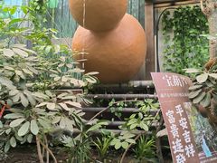 -呀路古热带植物园