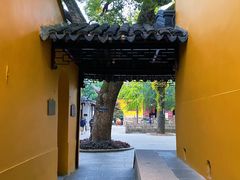 -西园戒幢律寺