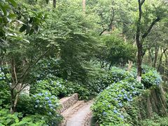 -莫干山风景区