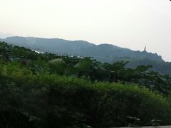 -湖畔居茶楼(湖滨店)