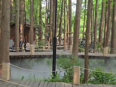 -东明山森林公园