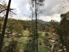 -塔川景区