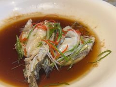 -杨厨的田园饭店(长城路店)