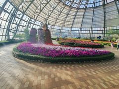 -芽庄珍珠岛游乐园