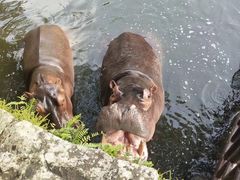 -海南热带野生动植物园
