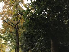-堤角公园