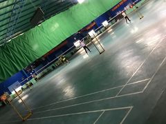 -锡才大羽羽毛球馆(深港花卉店)