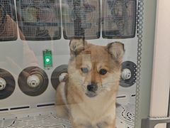 -FAELING PETS美天灵宠物(富力广场店)
