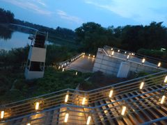 -大兴滨河森林公园