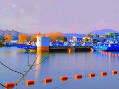 -渤公岛生态公园