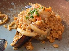 -Apollo·西班牙小酒馆(安福路店)