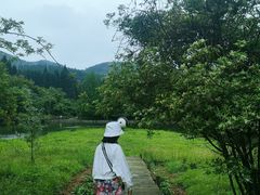 -武陵山森林公园
