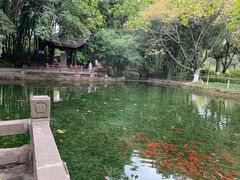 -望江楼公园