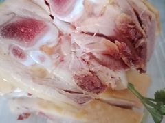 -九斤黄三黄鸡专卖店