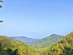 -象头山国家级自然保护区