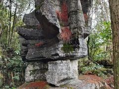 -梭布垭石林景区