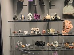 -墨尔本博物馆(Melbourne Museum)