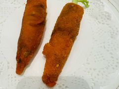 -丁老爷子苏香圆