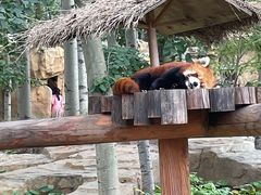 -北京野生动物园